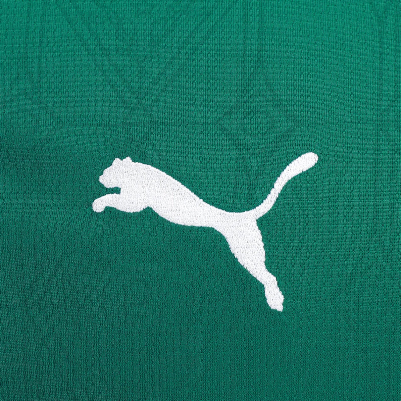 Camisa Palmeiras Torcedor - Temporada 25/26 - Verde