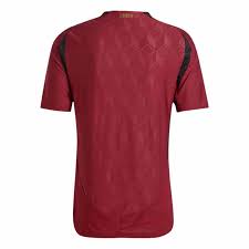 Camisa Bélgica Away 24/25 EUROCOPA - Torcedor Adidas Masculina - Bordô